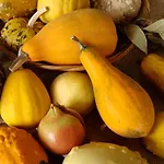 La Volpe E L'uva * צ'רסקו