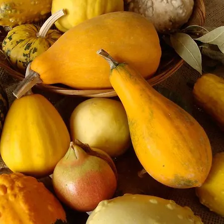 La Volpe E L'uva * צ'רסקו