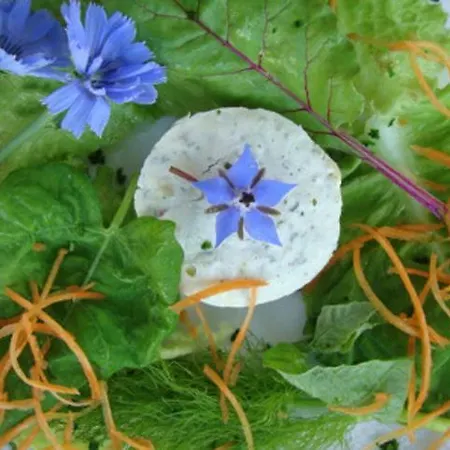 La Volpe E L'uva Vakantieboerderij Cherasco