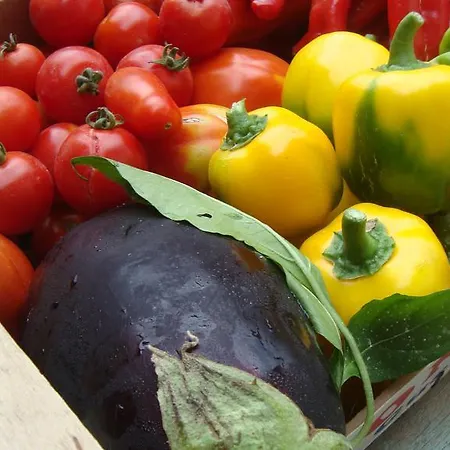 Farma La Volpe E L'uva *