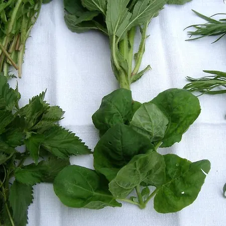 La Volpe E L'uva Vakantieboerderij