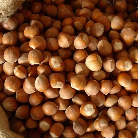 Farma La Volpe E L'uva