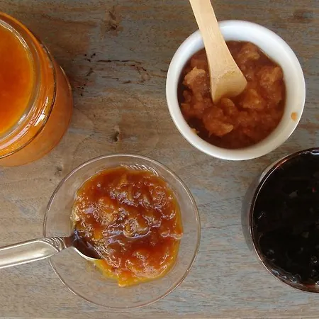 La Volpe E L'uva Agroturismo