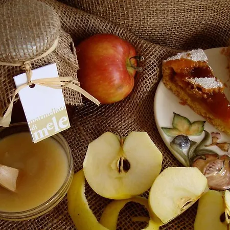 Vakantieboerderij La Volpe E L'uva *